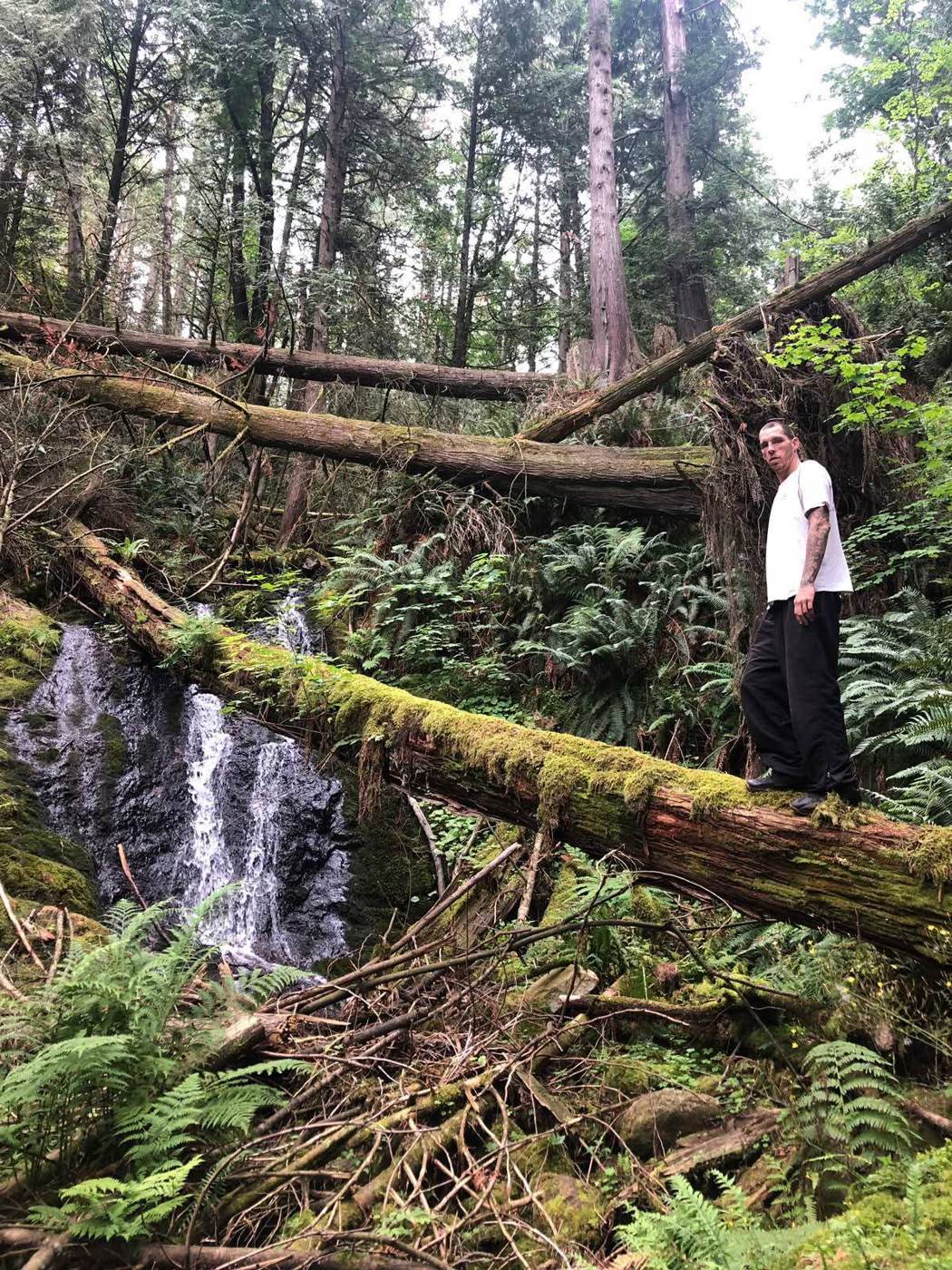 Standing on a mossy fallen log beside a waterfall in coastal rainforest